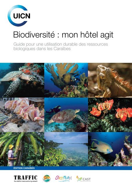Sardine - Le guide Poisson du WWF