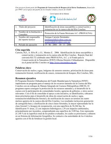 Cita sugerida Palabras clave Resumen ejecutivo