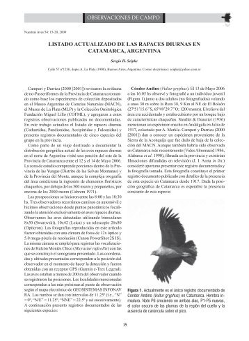 listado actualizado de las rapaces diurnas en ... - Aves Argentinas