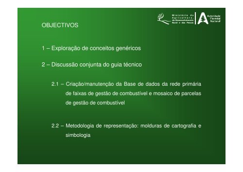 Metodologia de representaÃƒÂ§ÃƒÂ£o das RPDFCI - ICNF