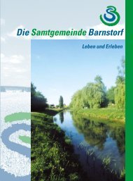 Imagebroschüre - Samtgemeinde Barnstorf