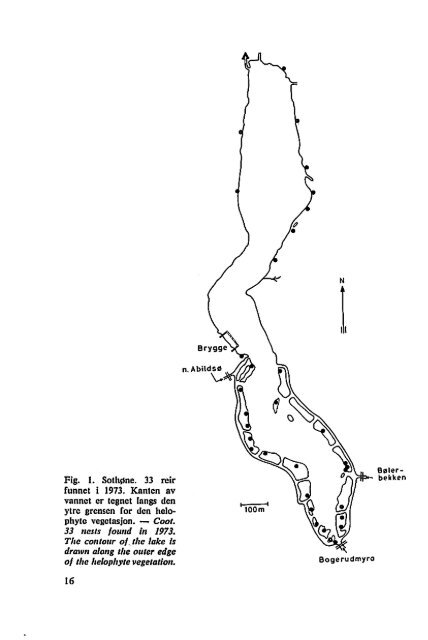 Sterna, bind 13 nr 1 (PDF-fil) - Museum Stavanger