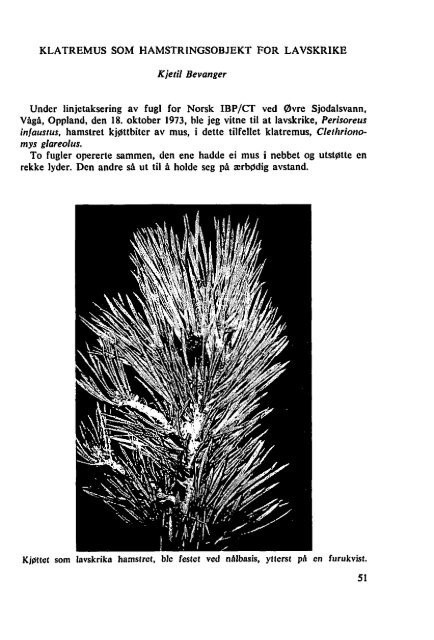 Sterna, bind 13 nr 1 (PDF-fil) - Museum Stavanger