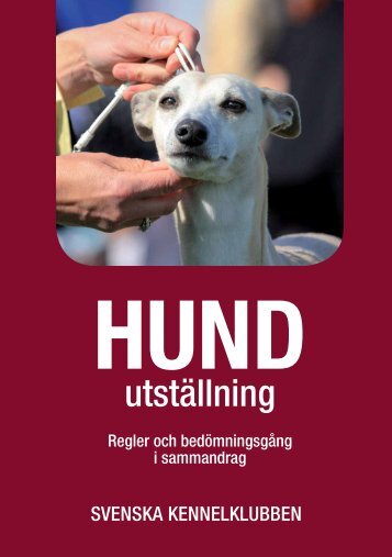 HundutstÃ¤llning - Svenska Kennelklubben