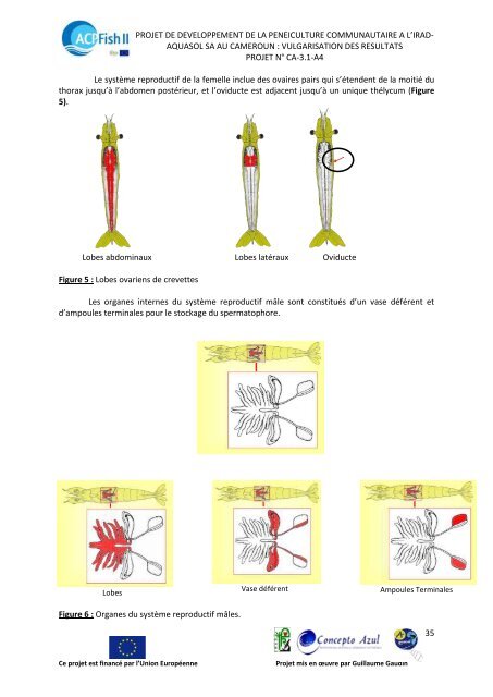 Rapport Technique Final - ACP Fish II