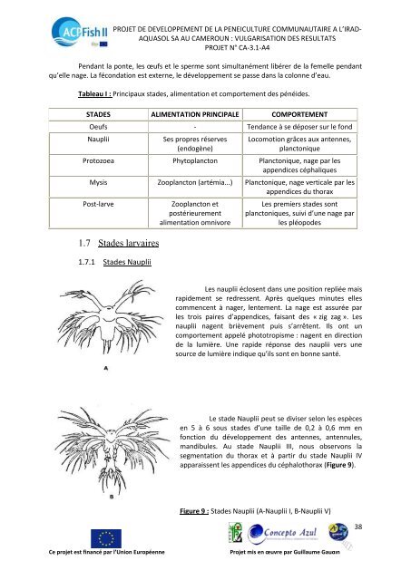 Rapport Technique Final - ACP Fish II