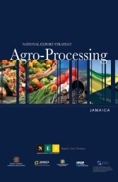 Agro-Processing Beverages Export Strategy
