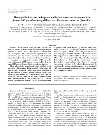 Hemoglobin function in deep-sea and hydrothermal-vent endemic ...