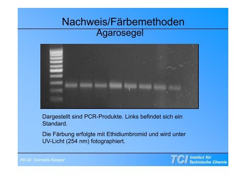 Gelelektrophorese - TCI @ Uni-Hannover.de