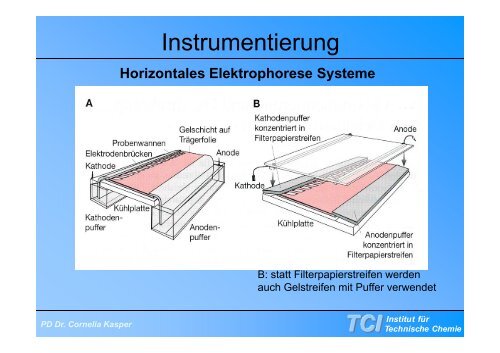 Gelelektrophorese - TCI @ Uni-Hannover.de