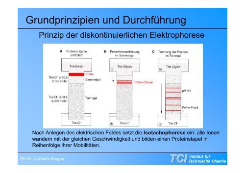 Gelelektrophorese - TCI @ Uni-Hannover.de