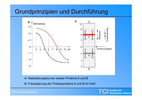 Gelelektrophorese - TCI @ Uni-Hannover.de