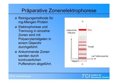 Gelelektrophorese - TCI @ Uni-Hannover.de