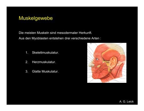 Gewebe II (A.G.Leick)