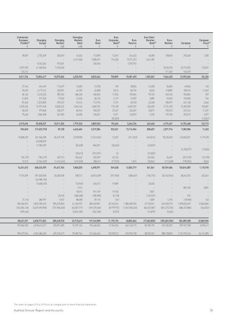 Merrill Lynch International Investment Funds Audited Annual Report ...