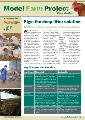 Deep litter for pigs - WSPA