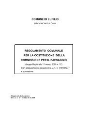 Regolamento Comunale per la Costituzione della Commissione del ...