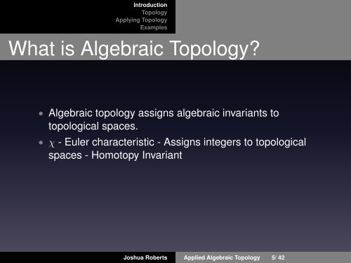 Introduction to Applied Algebraic Topology: Persistent Homology