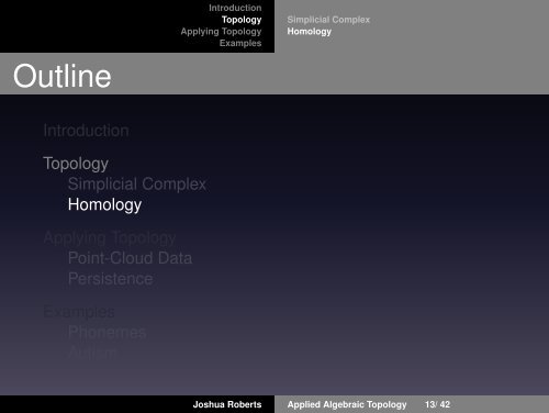 Introduction to Applied Algebraic Topology: Persistent Homology