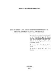 capa e etc - Pgcisolo.agrarias.ufpr.br - Universidade Federal do ...