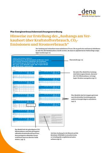 Hinweise zur Erstellung fÃ¼r den Aushang am ... - Pkw-Label