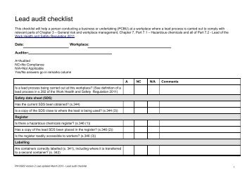 Lead audit checklist (PDF, 397 kB)