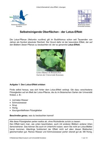 Selbstreinigende OberflÃ¤chen - der Lotus-Effekt - UniversitÃ¤t Konstanz