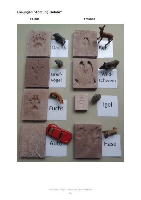 Hase und Huhn.pdf - Naturama