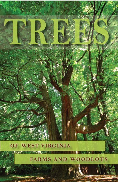 Trees of W.Va. Inside.indd - West Virginia Department of Agriculture