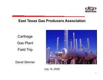 Overview of the DCP Midstream Carthage Gas Plant