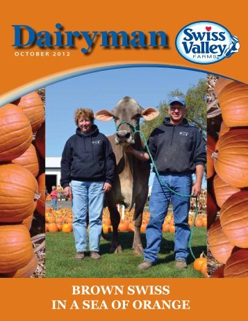 Brown SwiSS in a Sea of orange - Swiss Valley Farms