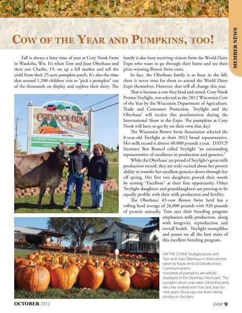 Brown SwiSS in a Sea of orange - Swiss Valley Farms