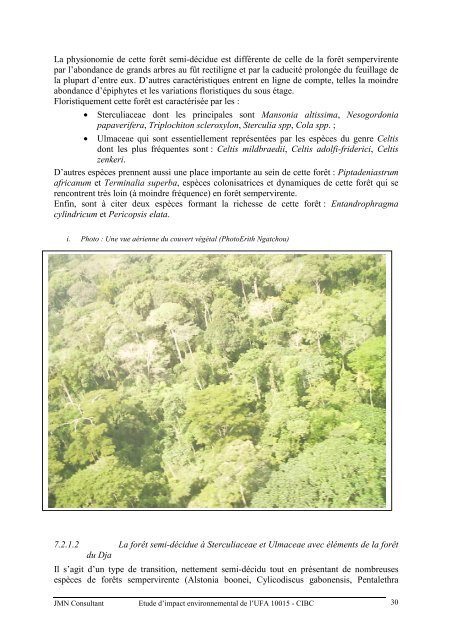 Cabinet JMN CONSULTANT - Impact monitoring of Forest ...