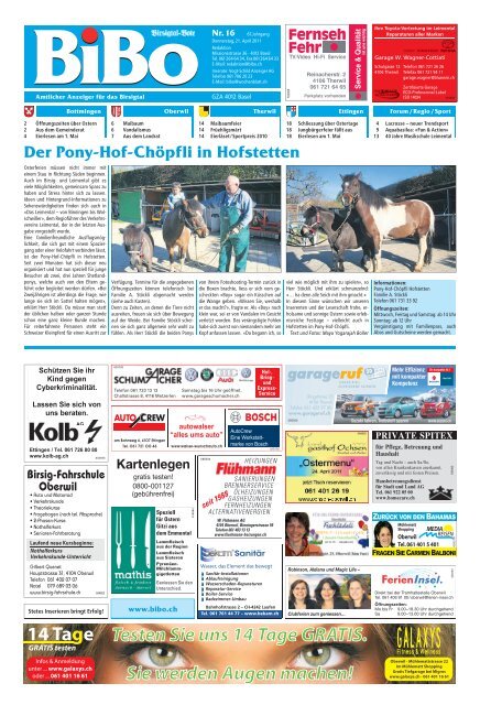 Der Pony-Hof-Chöpfli in Hofstetten - BiBo