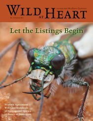Let the Listings Begin - WildEarth Guardians