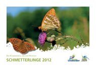 SCHMETTERLINGE 2012 - Bayerns UrEinwohner