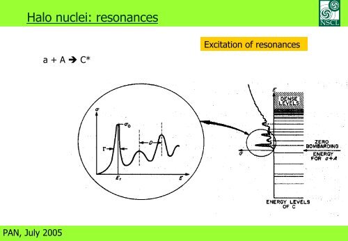 Halo Nuclei