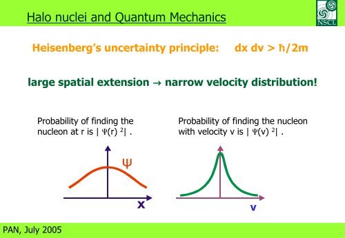 Halo Nuclei