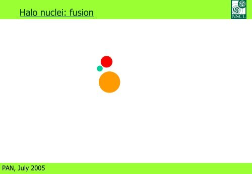 Halo Nuclei