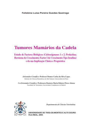 Tumores MamÃ¡rios da Cadela