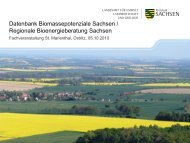 Datenbank Biomassepotenziale Sachsen / Regionale - Energie ...