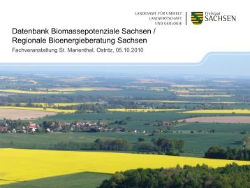 Datenbank Biomassepotenziale Sachsen / Regionale - Energie ...