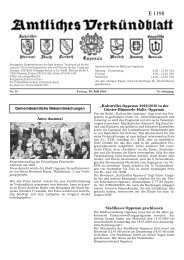 Verkündblatt KW 28 - 10. Juli 2009 - Stadt Oppenau