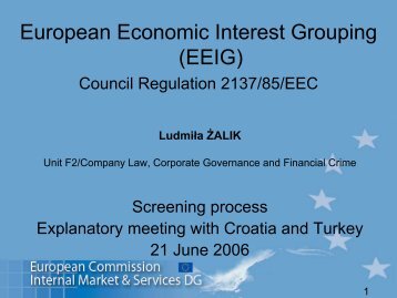 European Economic Interest Grouping (EEIG)