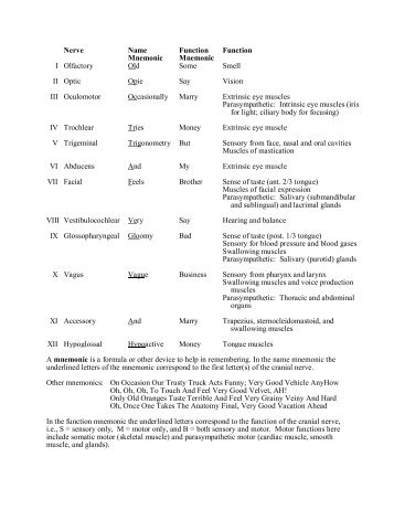 Nerve Name Mnemonic Function Mnemonic Function I Olfactory Old ...