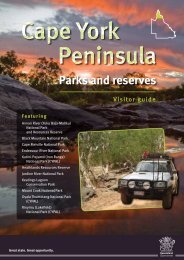 Houston History and Guide - PDF - Southern USA Visitor  display picture 1