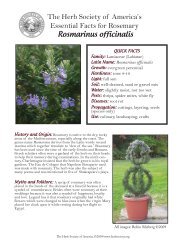 rosemary fact sheet.indd - The Herb Society of America