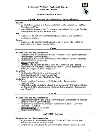 Fachschaft Biologie Natur und Technik Grundwissen der 6. Klasse ...