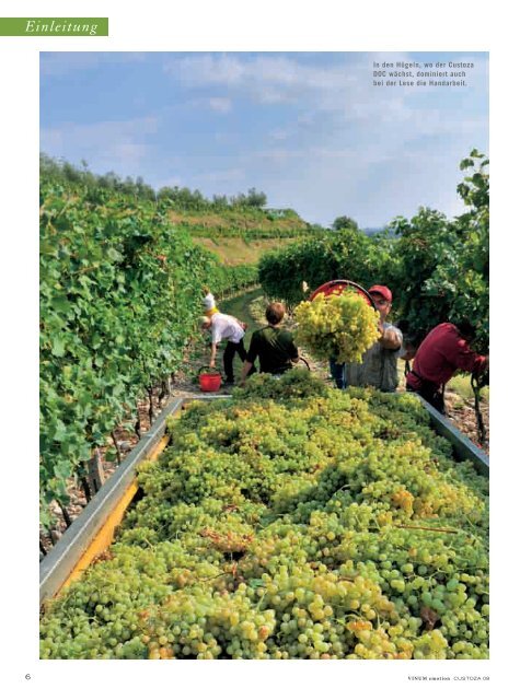 REISEN WEINBAU GENIESSEN - Azienda Agricola Tamburino Sardo