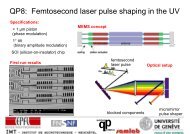 QP8: Femtosecond laser pulse shaping in the ... - NCCR-QP - EPFL